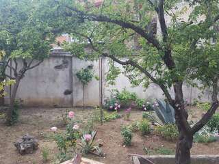 Хостелы Hostel Mana Kutaisi Кутаиси-1